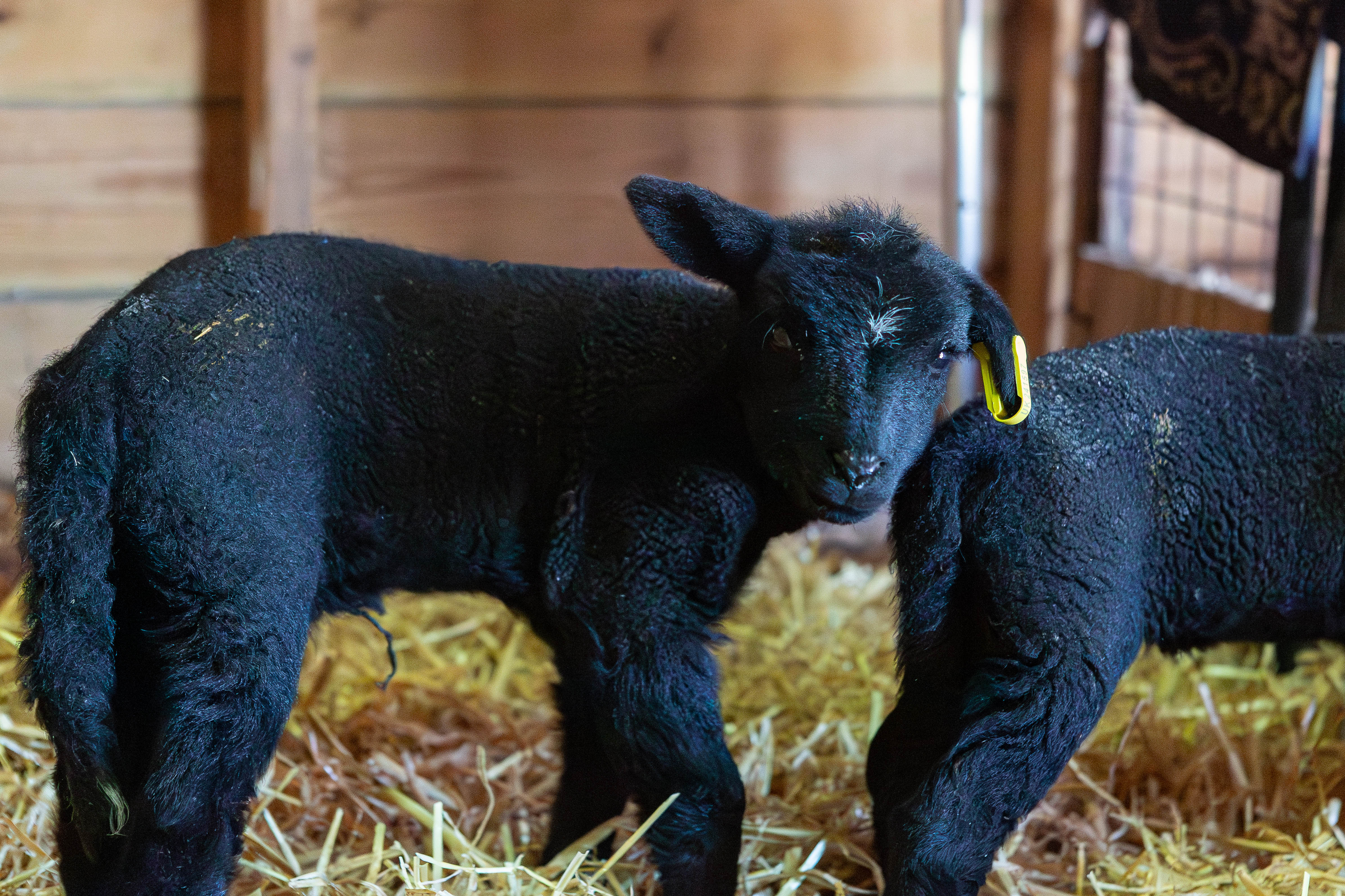 20250327 5S9A2009 Enhanced NR