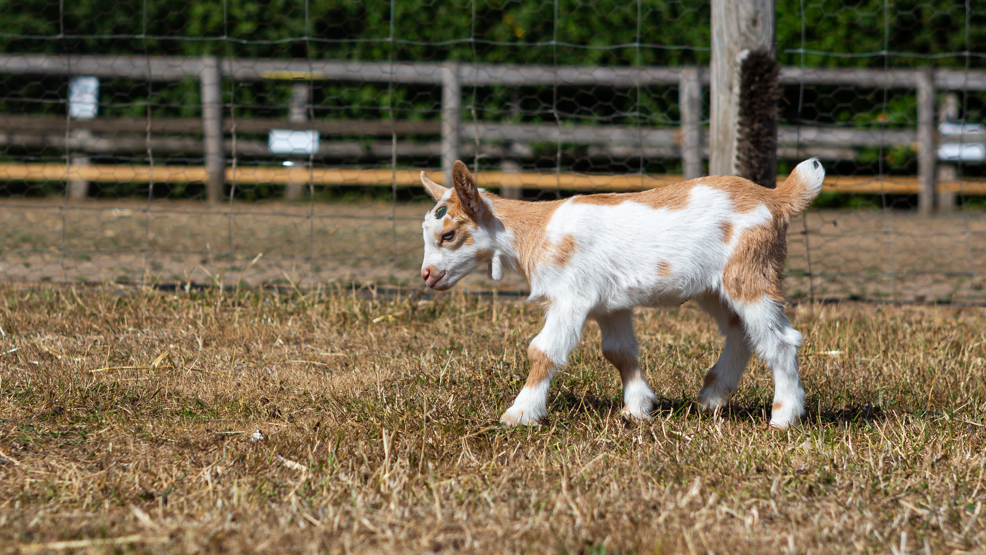 20250708 5S9A5957 (1)